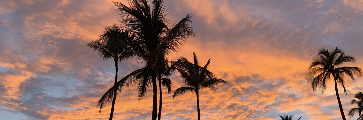 thisisamanda_'s profile banner image