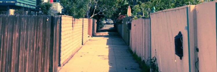 Micquel Bernier banner