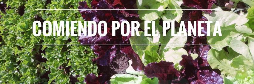 comidaSOS's profile banner image