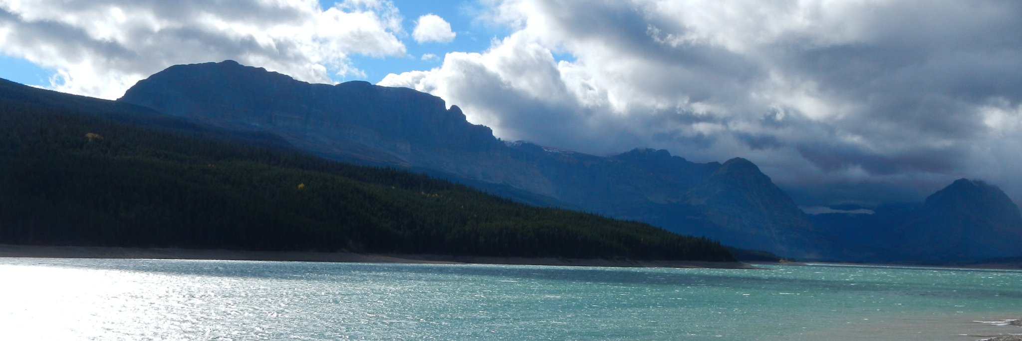 Juliana D'Andrilli, Ph.D. banner