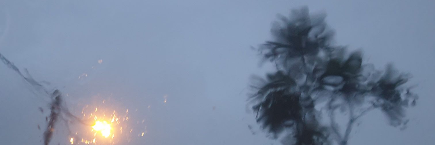 rachmatross's profile banner image