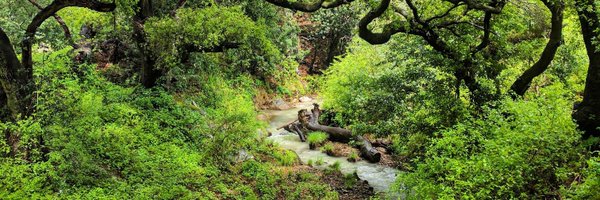 aliglenesk Profile Banner