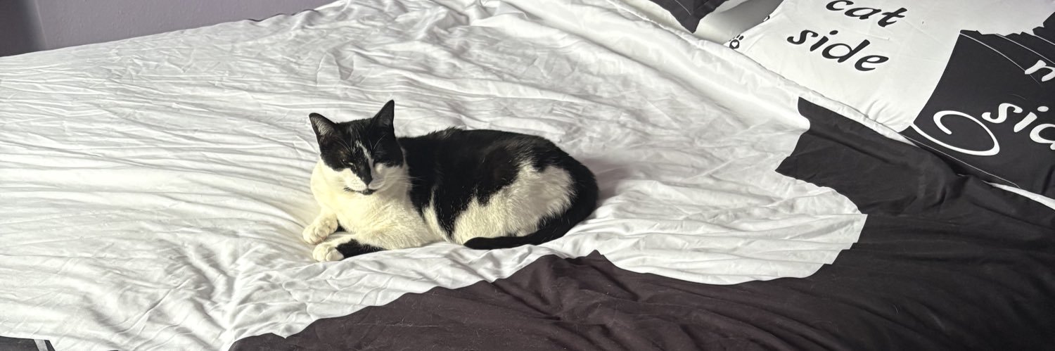 Martin Bückley 🇪🇺🏳️‍🌈🏳️‍⚧️ banner