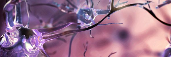 QBI_papers Profile Banner