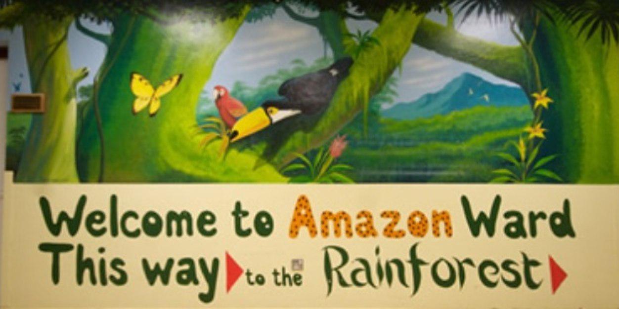 AmazonBall's profile banner image