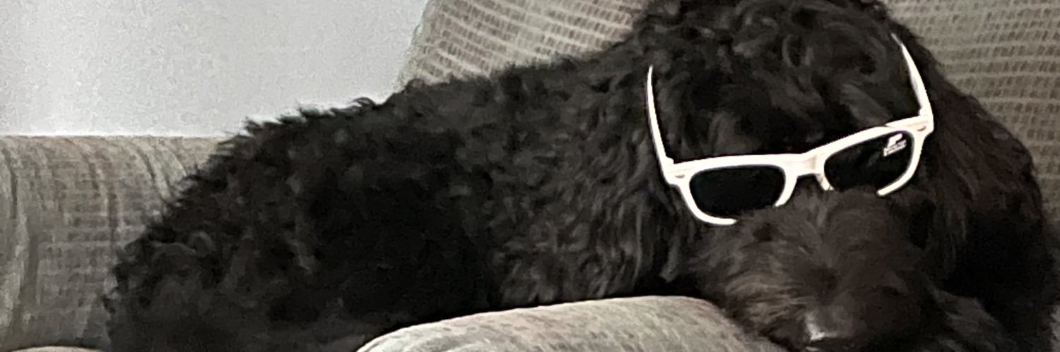 cassandra ledman banner