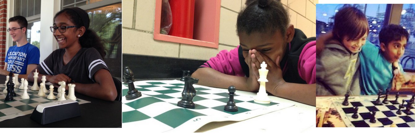 Rebecca Rutledge banner