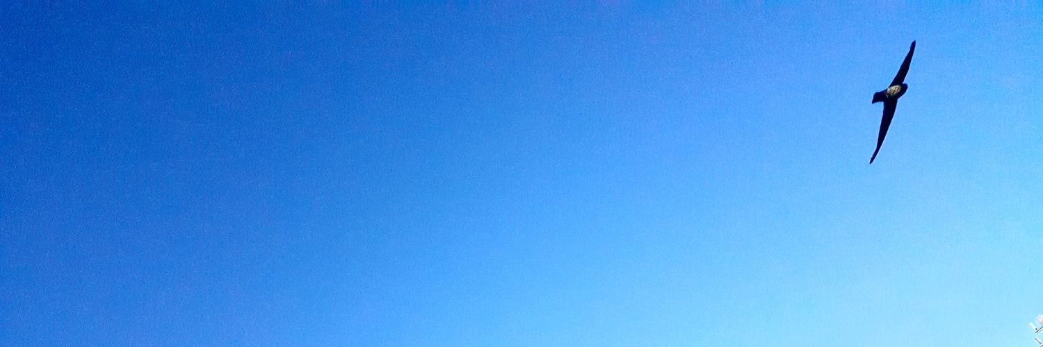 suddenlypsy's profile banner image