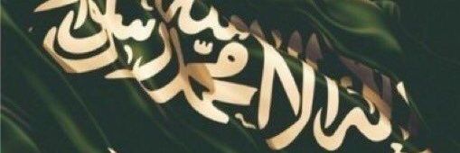 HanoomarHo35's profile banner image