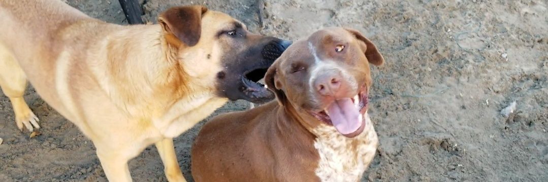 CEOofINFAMOUS's profile banner image
