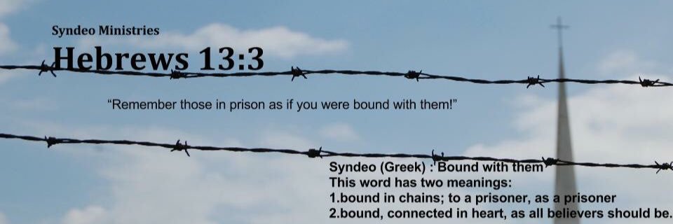 Syndeo Ministries banner