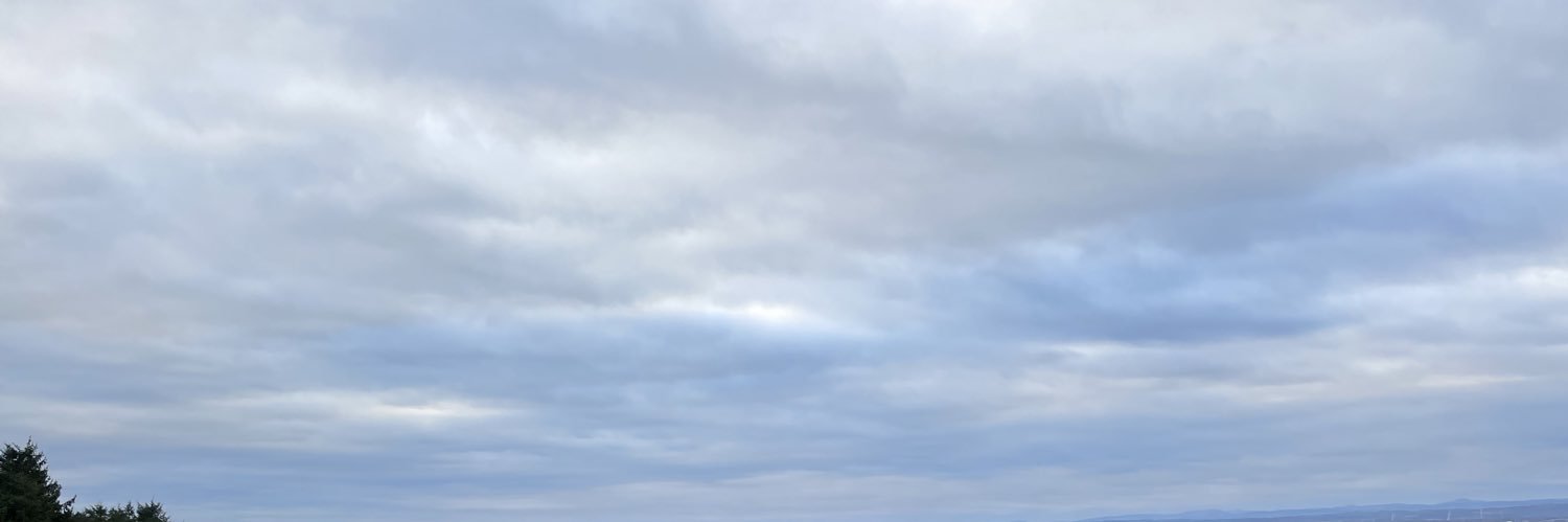 lesleyj1967's profile banner image