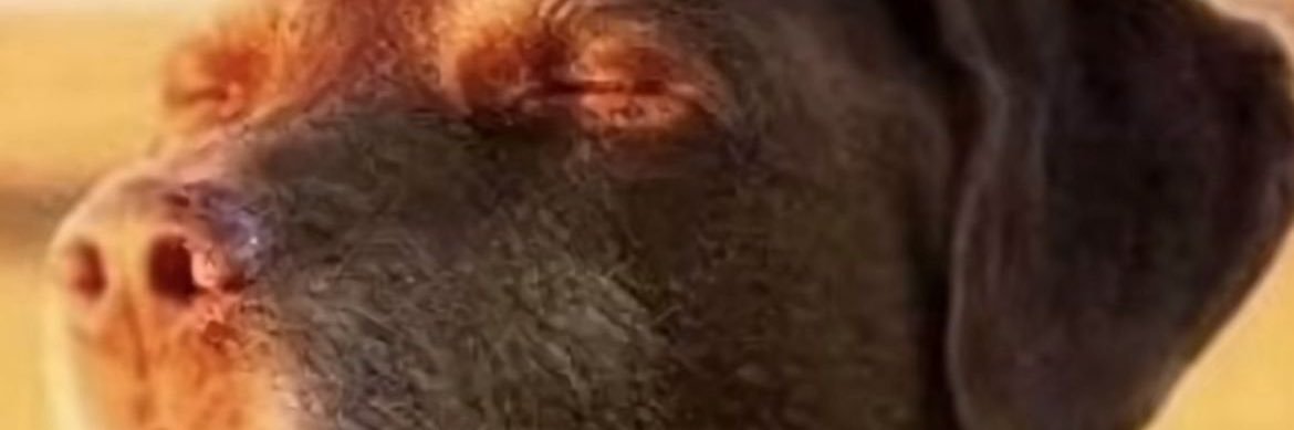 feelxzy's profile banner image
