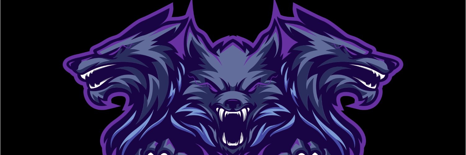 allsolorusher's profile banner image