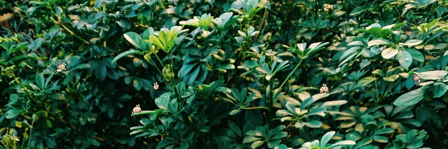 ku_ka__'s profile banner image