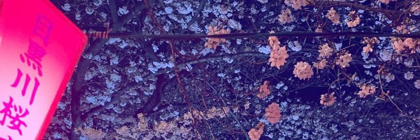 tetoyuckarin's profile banner image