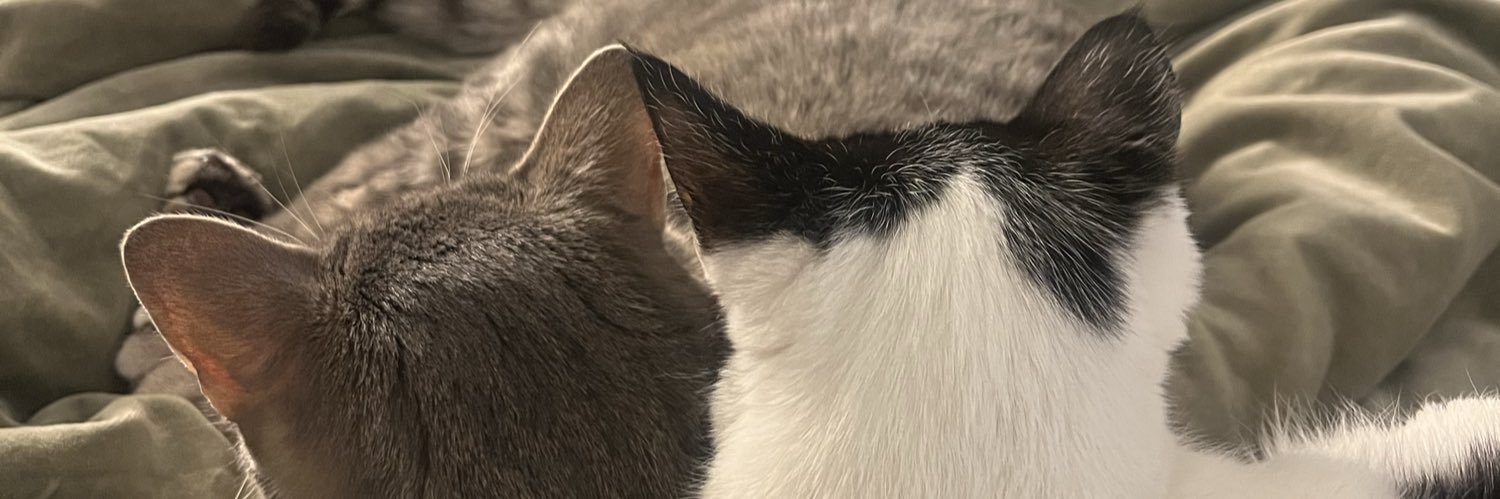 madisonrosaless's profile banner image