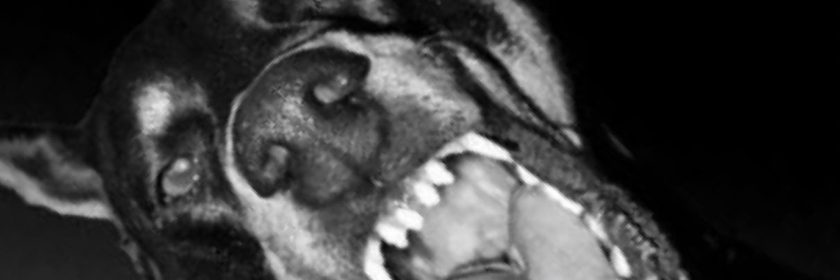 Amy_Rodriguez12's profile banner image
