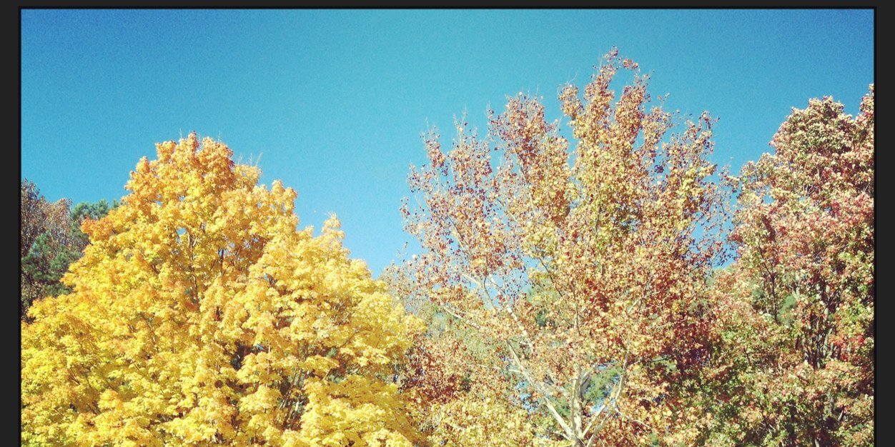 CWalk_WV's profile banner image