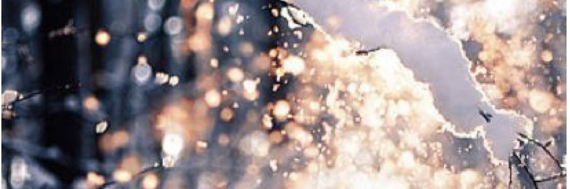 jamiebedard's profile banner image