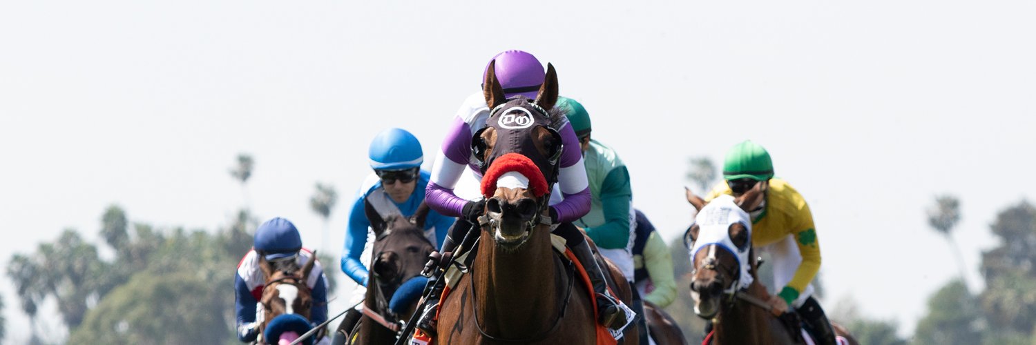 Doug O'Neill banner