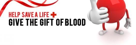 Blood4Liany's profile banner image