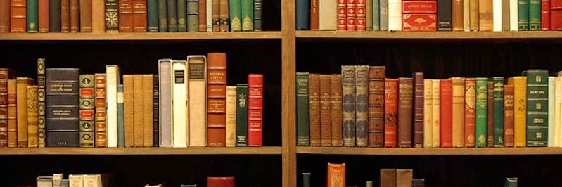 MelissaSebourn's profile banner image