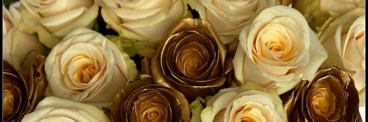 Admire_theBEST's profile banner image