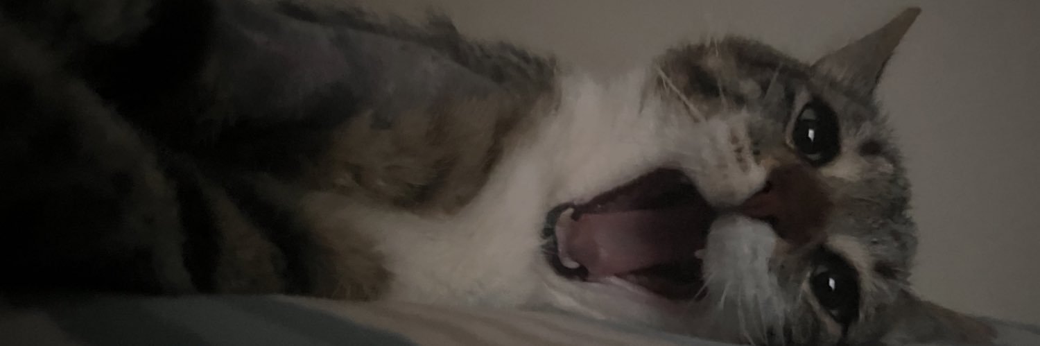 surayyyy's profile banner image