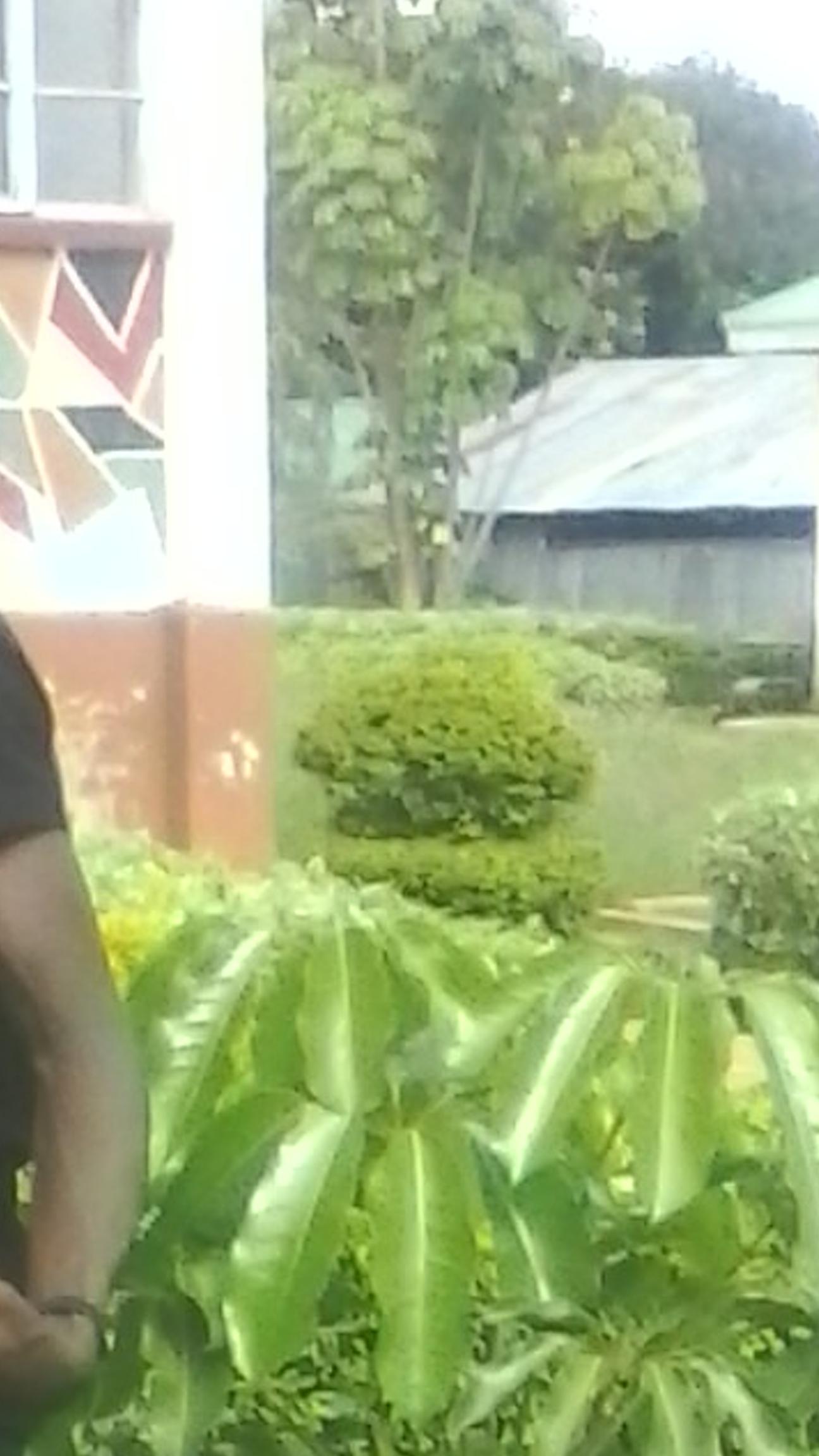 brianpchumba's profile banner image