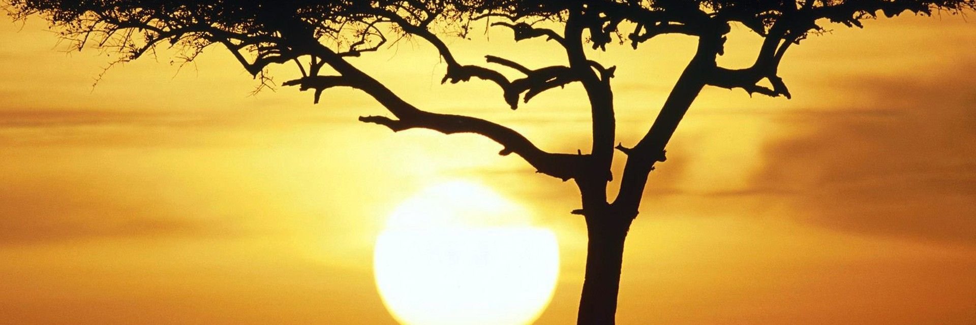 leki_sean's profile banner image