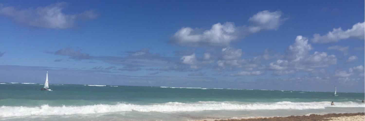 Corinne Mrejen banner