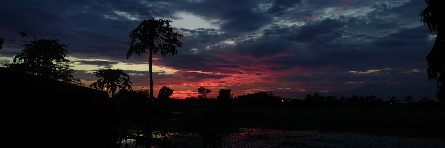 keapaya's profile banner image