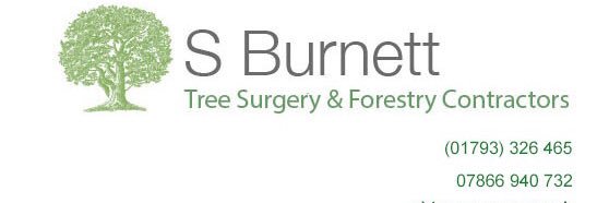 sbtreesurgery's profile banner image