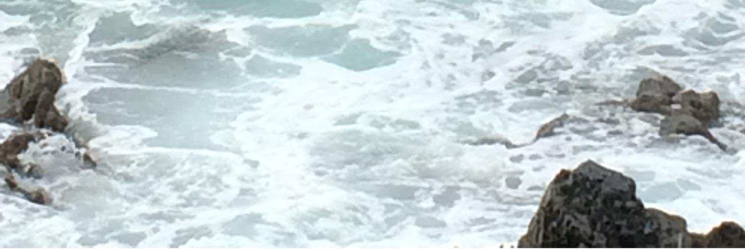 will banner