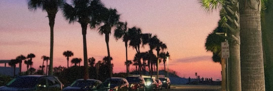 alysapaukner's profile banner image
