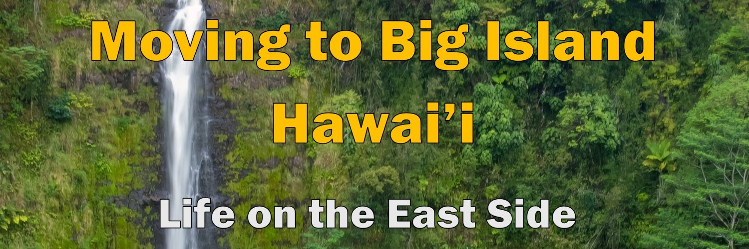 Principal Broker Living on Big Island Realty banner
