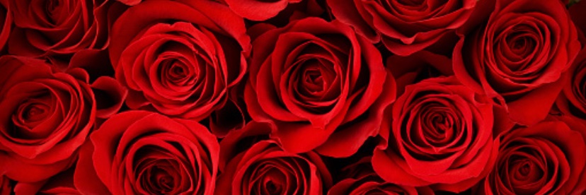 JasperRosee's profile banner image