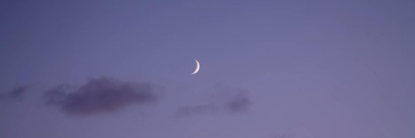 weebbasi Profile Banner