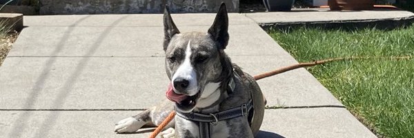 CodyMcCorry Profile Banner