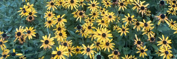 RebeccaCorbin7 Profile Banner