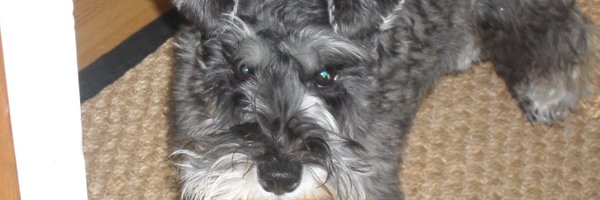 KathyLP48 Profile Banner