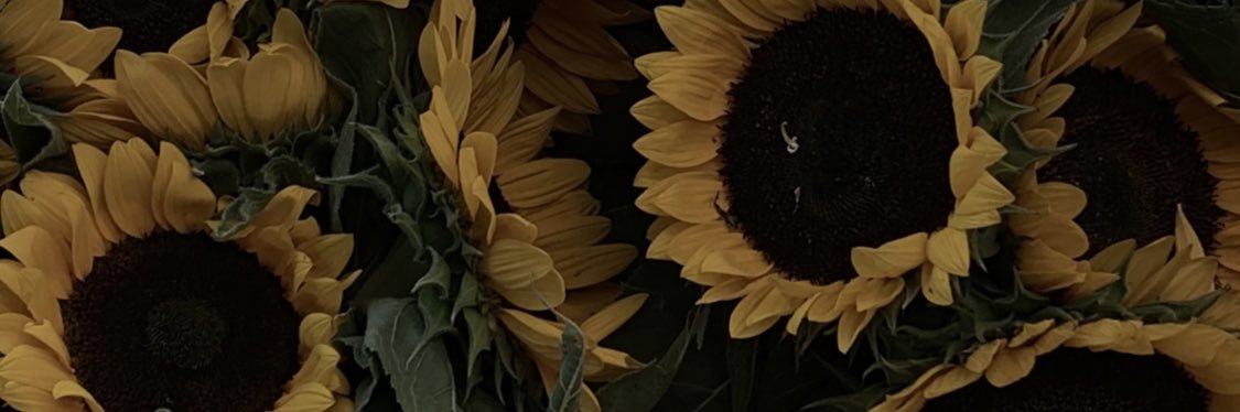 tkellogg18's profile banner image