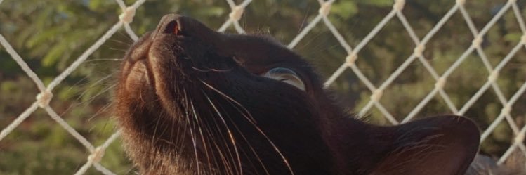 byejulyy's profile banner image