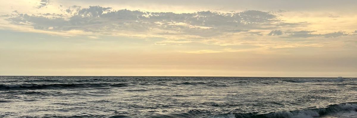 MarioFl10's profile banner image