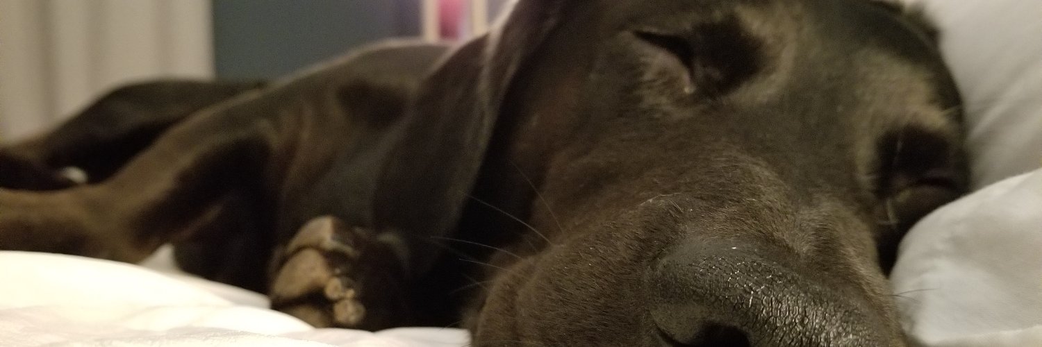 Slackone's profile banner image