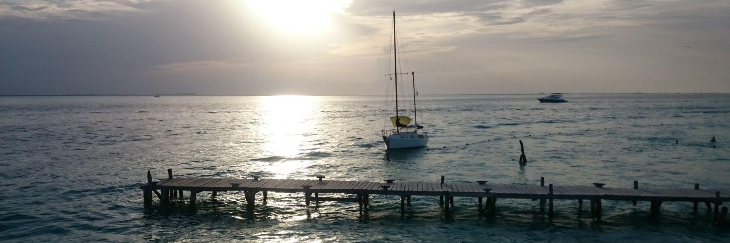 alphazx286's profile banner image