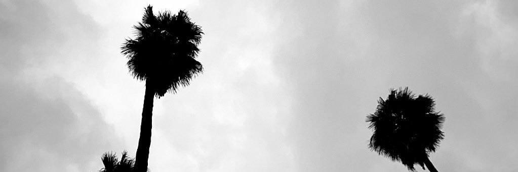 audreymelody's profile banner image