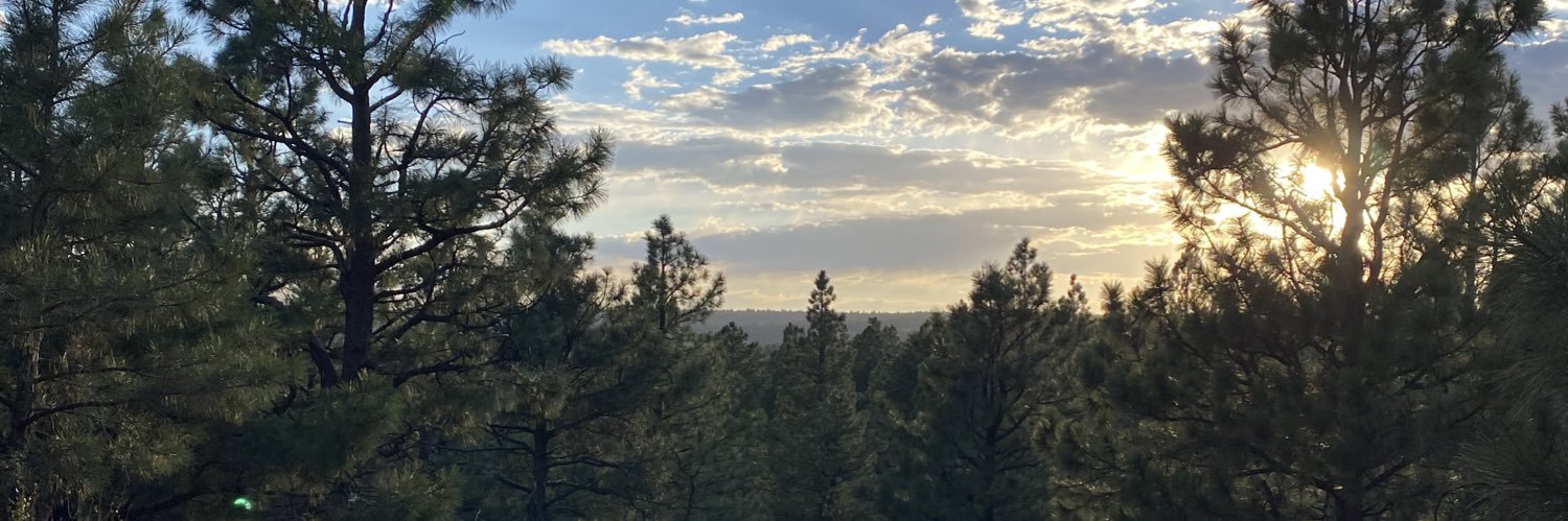 kendragreno20's profile banner image