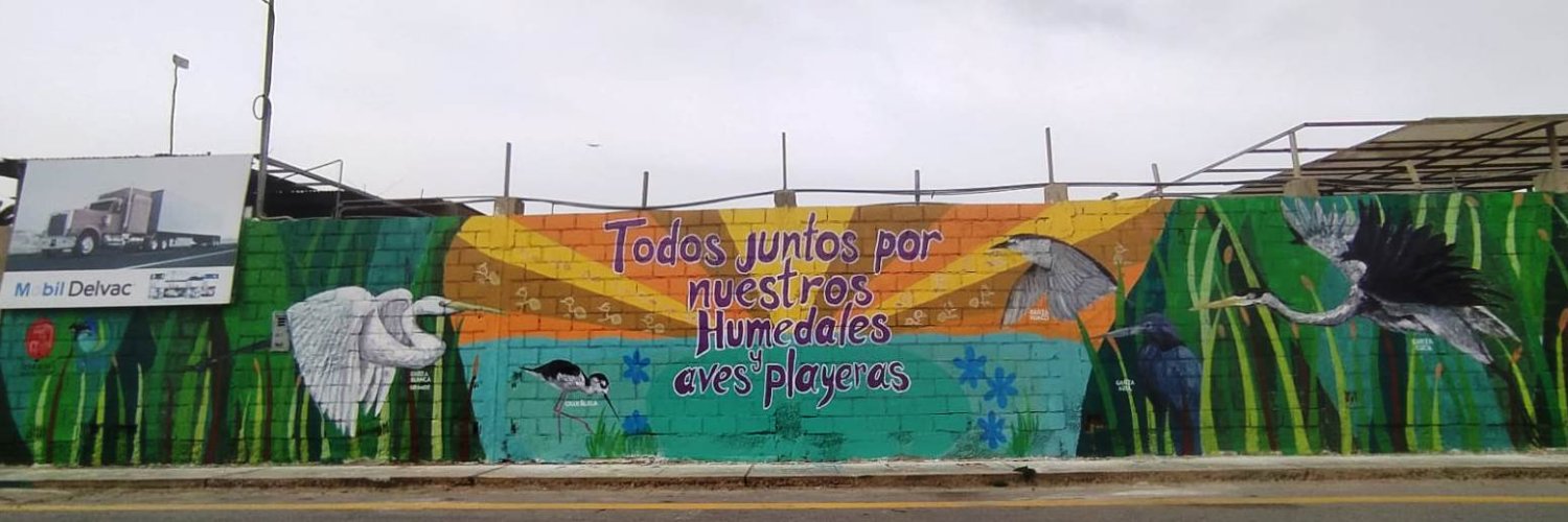 Fabiola RM - 🇵🇪 Recuperemos Nuestros Humedales! banner